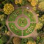Bild zeigt eine grüne Landschaft mit einem Kreisverkehr aus Gras.